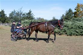 LR-WRF 10182025 Retreat-6476